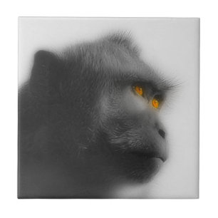 Carreau Singe songeur