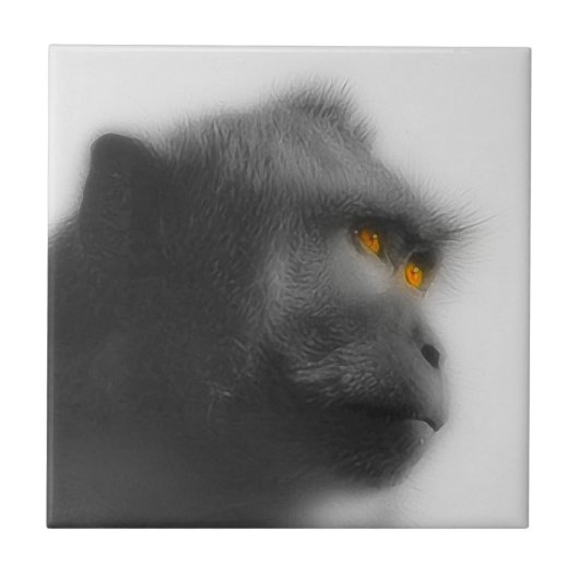 Carreau Singe songeur (Devant)