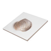 Carreau Single seashell (Côté)