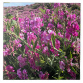 Carreau Sisters Rock State Park, Côte de l'Oregon (Devant)