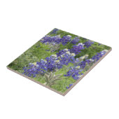 Carreau SJefferson Texas Bluebonnets Series #2 (Côté)