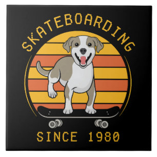 Carreau Skate depuis 1980