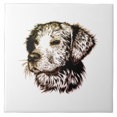 Carreau Sketch Brown (Devant)