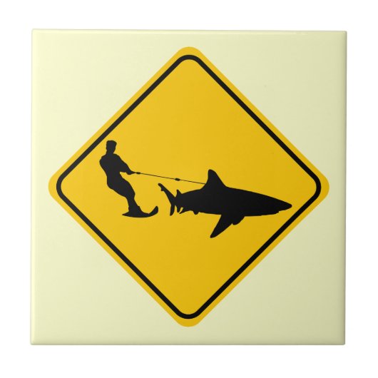 Carreau Ski de requin (Devant)