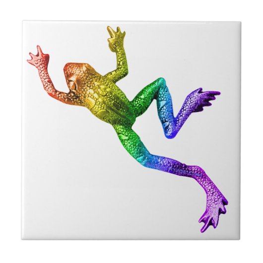 Carreau SlipperyJoe's Pride Frog figurine Colore vif (Devant)