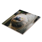 Carreau Sloth 001 (Côté)