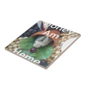 Carreau Snacking de lapin mignon (Côté)