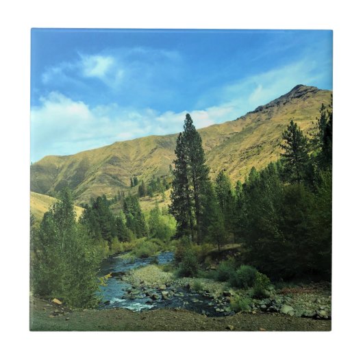 Carreau Snake River, comté de Wallowa, Oregon (Devant)