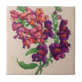 Carreau snapdragons (Devant)