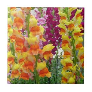 Carreau Snapdragons colorés floraux