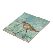 Carreau Snipe Shorebird Coastal Beach House Decor (Côté)