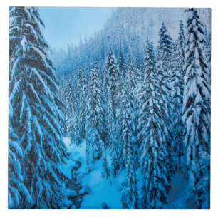 Carreau Snoqualmie Pass, État de Washington.