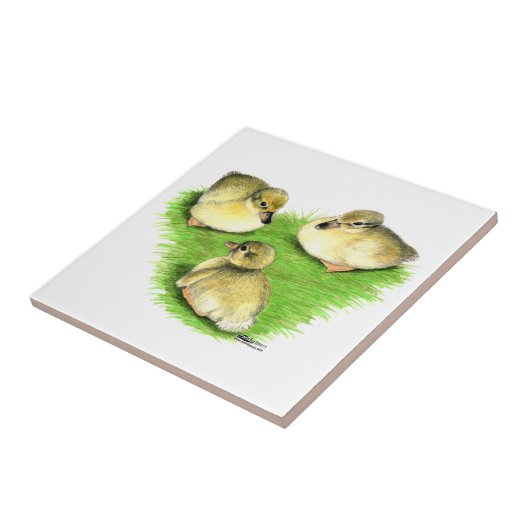 Carreau Snowy Mallard (Côté)