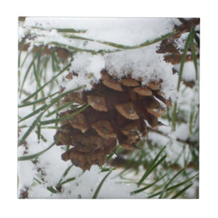 Carreau Snowy Pine Cone I