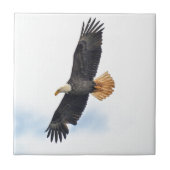 Carreau Soaring Bald Eagle Wildife Photo Art (Devant)