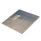 Carreau Soirée d'été sur la plage du sud de Skagen (Côté)