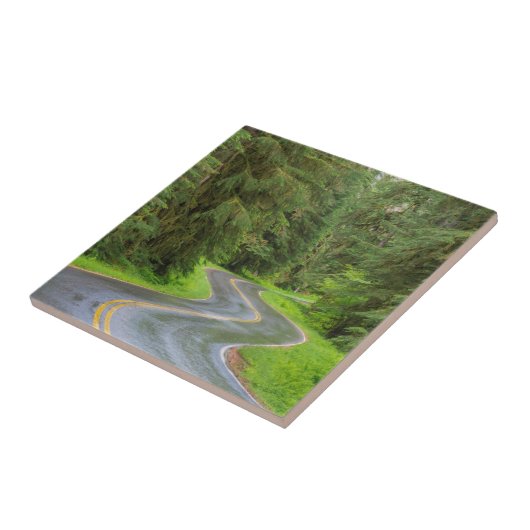 Carreau Sol Duc River Road à travers la forêt (Côté)