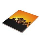 Carreau Soleil (Côté)