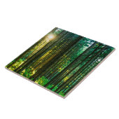 Carreau Soleil à travers les arbres forestiers (Côté)