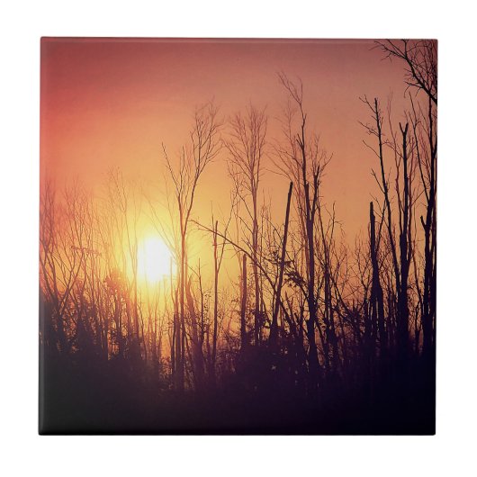 Carreau Soleil d'automne (Devant)