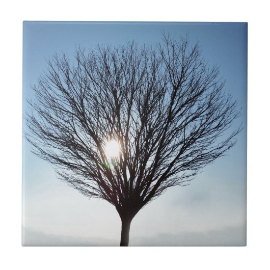 Carreau soleil d'hiver (Devant)