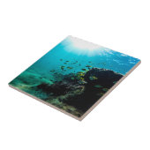 Carreau Soleil et poissons tropicaux (Côté)