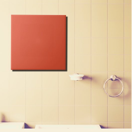 Carreau Solide en terre cuite