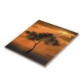 Carreau Solitaire Tree Sunbeams - Collection d'oeuvres d'a (Côté)