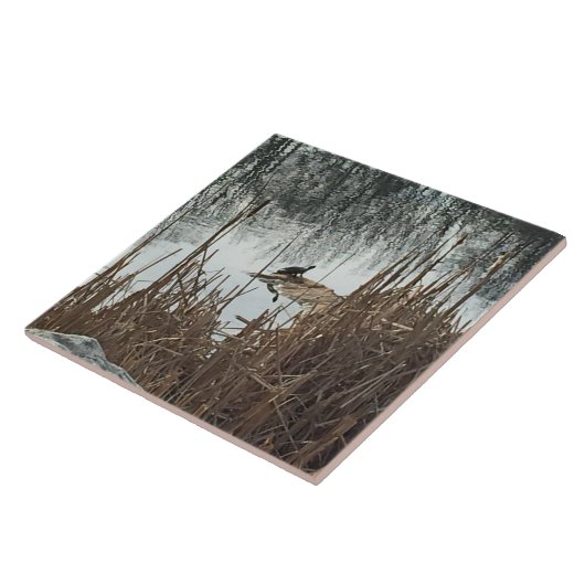 Carreau Solstice d'hiver (Côté)