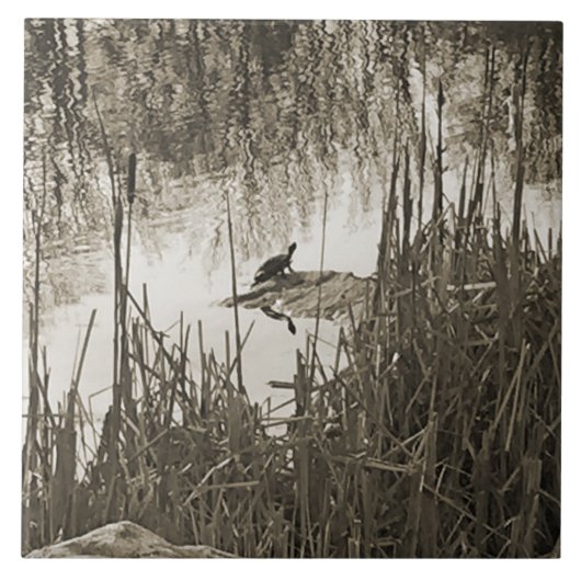 Carreau Solstice d'hiver (Devant)