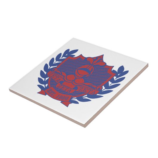 Carreau Sonniton (Côté)