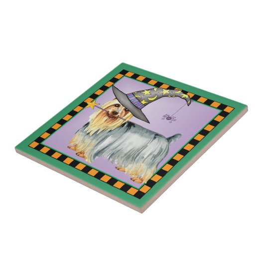 Carreau Sorcière Silky Terrier (Côté)