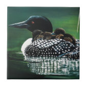 Carreau Sortie de la famille Loon (Devant)