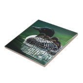 Carreau Sortie de la famille Loon (Côté)