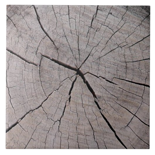 Carreau souche d'arbre fond rustique naturel (Devant)
