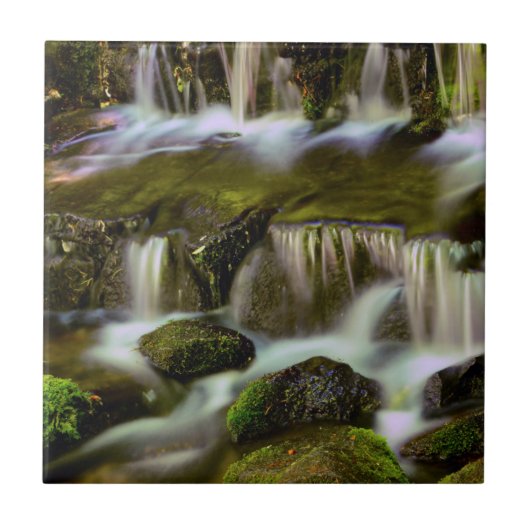Carreau Source aux fougères, Parc national de Yosemite, Ca (Devant)