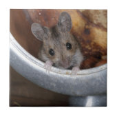 Carreau Souris dans une théière (Devant)