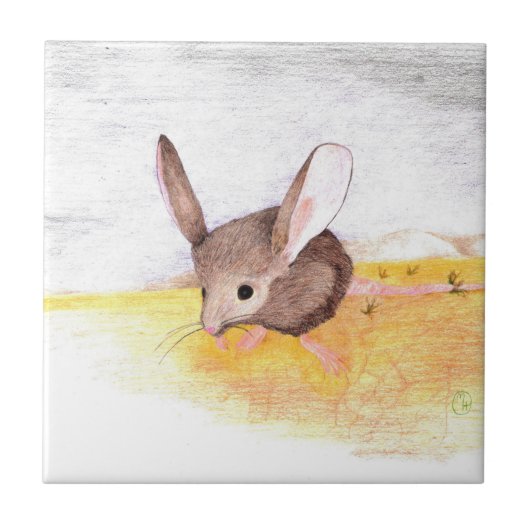 Carreau Souris du désert (Devant)