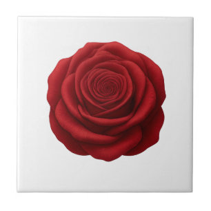 Carreau Sous-tasse - Fleur de rose rouge