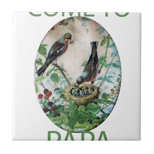 Carreau Soutenir le troupeau : Capturer le soutien parenta (Devant)