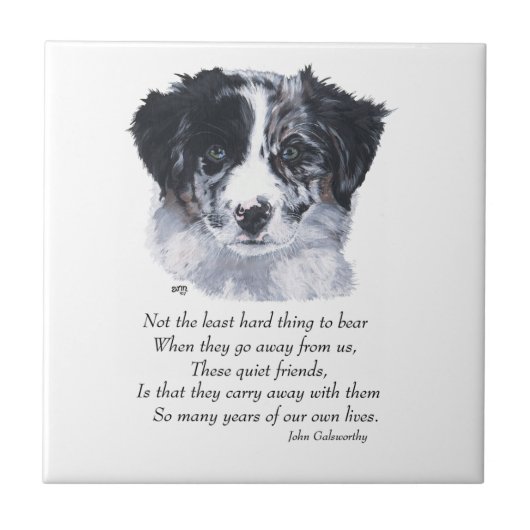 Carreau Souvenirs Border Collie (Devant)