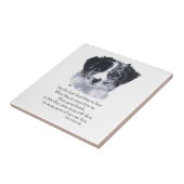Carreau Souvenirs Border Collie (Côté)