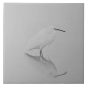 Carreau Soyez toujours Egret