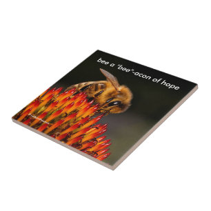 Carreau Soyez un "Bee" Bacon de l'Espoir Bee sur Echinacea