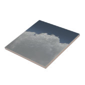 Carreau Spectacle étincelant (Côté)