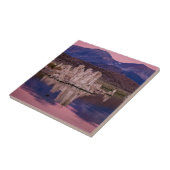 Carreau Spectaculaire Lac Mono Dans L'Ombre (Côté)