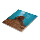 Carreau Sphinx : Égypte (Côté)