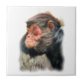 CARREAU SPIDER MONKEY (Devant)