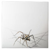 Carreau Spider Web (Devant)