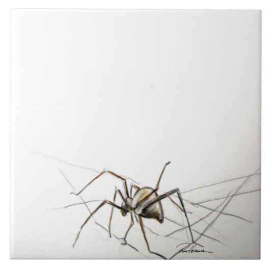 Carreau Spider Web (Devant)